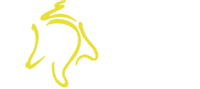 PVM Communications